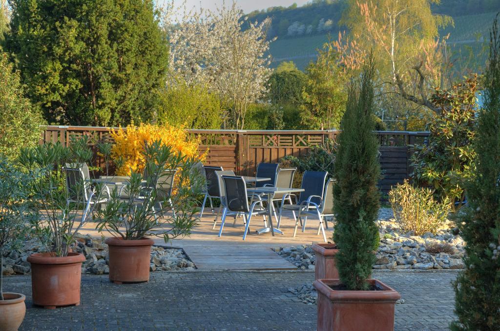 Hotel-Garni 'Zum Weinkrug' Sommerhausen Zewnętrze zdjęcie